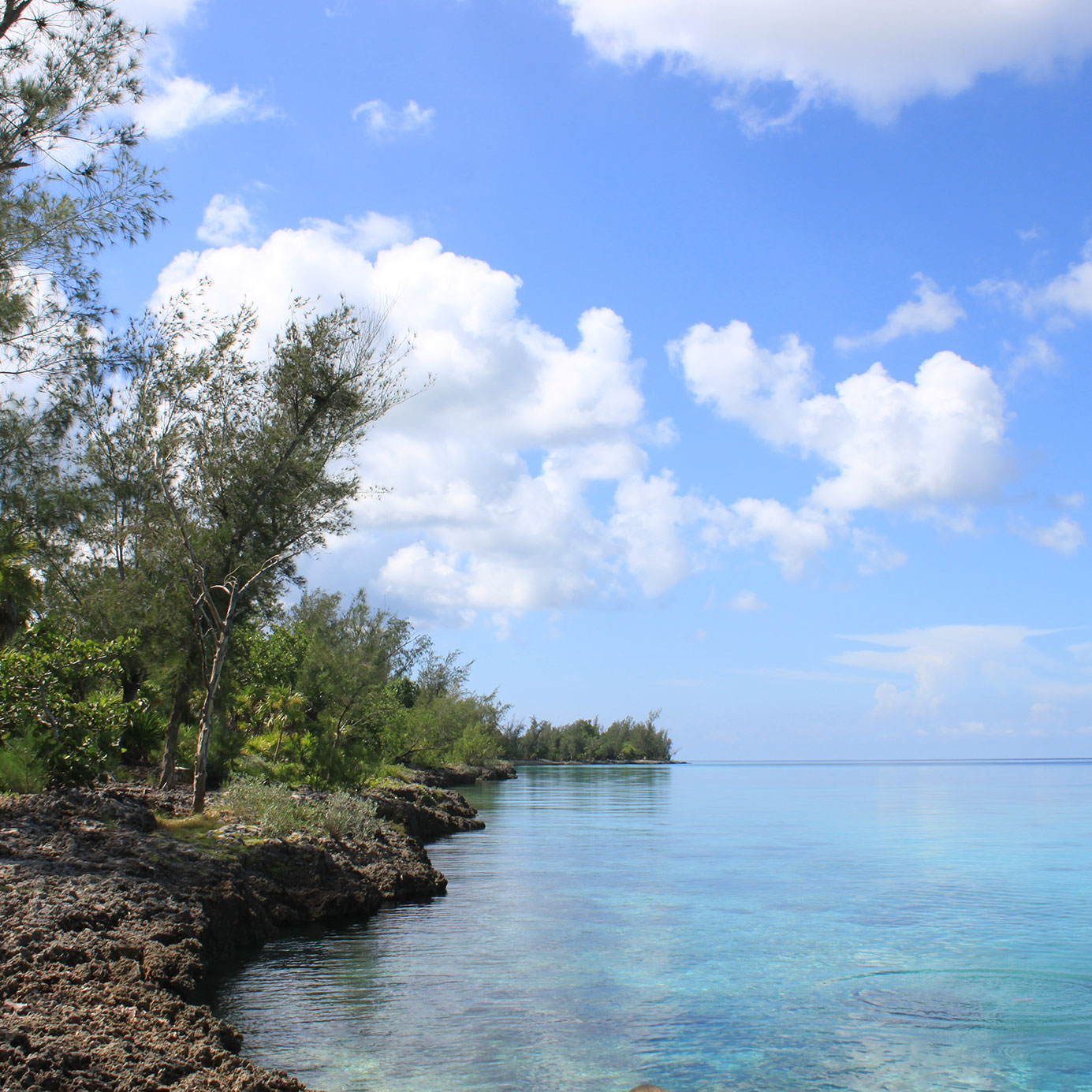 Snorkeling at Bay of Pigs Cuba
